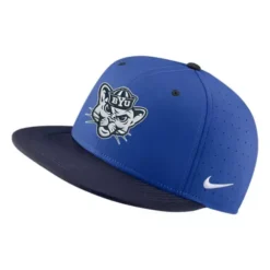 Nike BYU Cougars True Baseball Hat