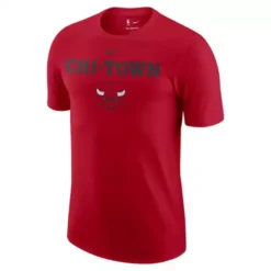 Nike Chicago Bulls City Celebrate T-Shirt